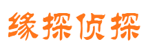 方正侦探